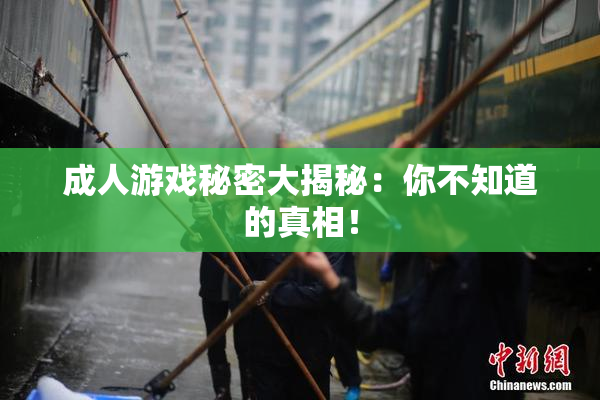 成人游戏秘密大揭秘：你不知道的真相！