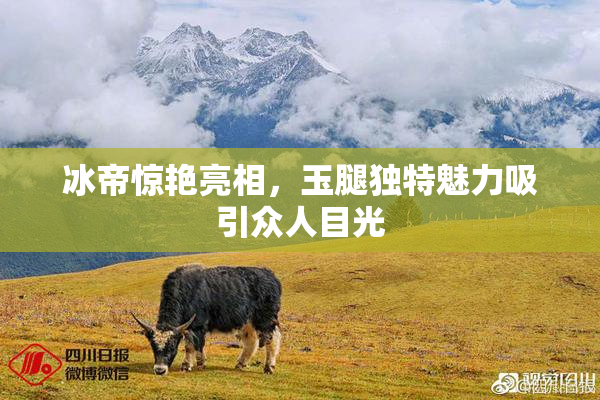 冰帝惊艳亮相，玉腿独特魅力吸引众人目光