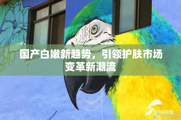 国产白嫩新趋势，引领护肤市场变革新潮流