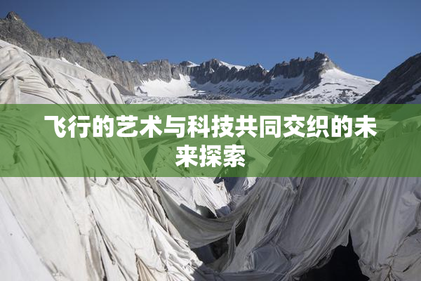 飞行的艺术与科技共同交织的未来探索