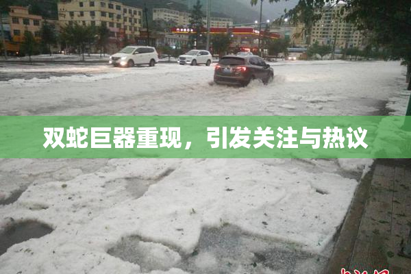 双蛇巨器重现，引发关注与热议