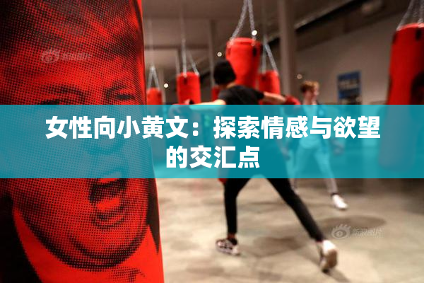 女性向小黄文：探索情感与欲望的交汇点