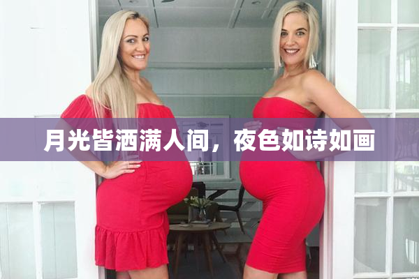 月光皆洒满人间，夜色如诗如画