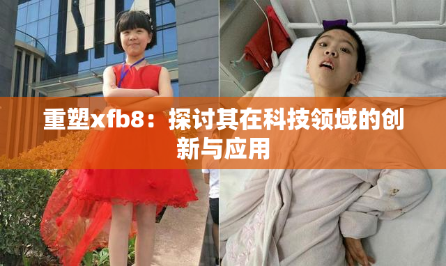 重塑xfb8：探讨其在科技领域的创新与应用