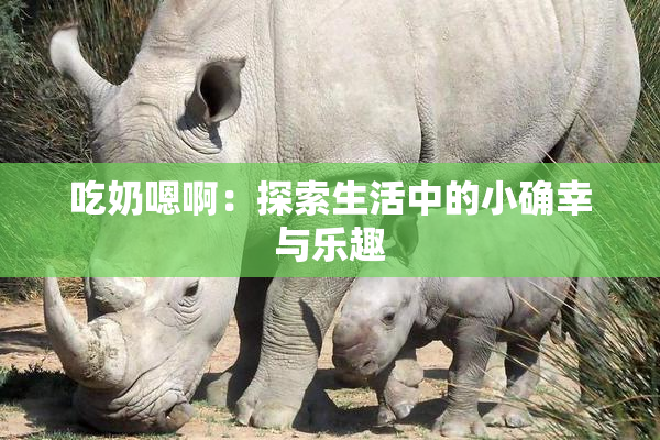 吃奶嗯啊：探索生活中的小确幸与乐趣