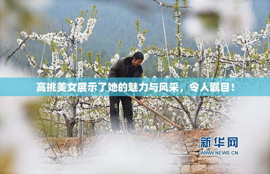 高挑美女展示了她的魅力与风采，令人瞩目！