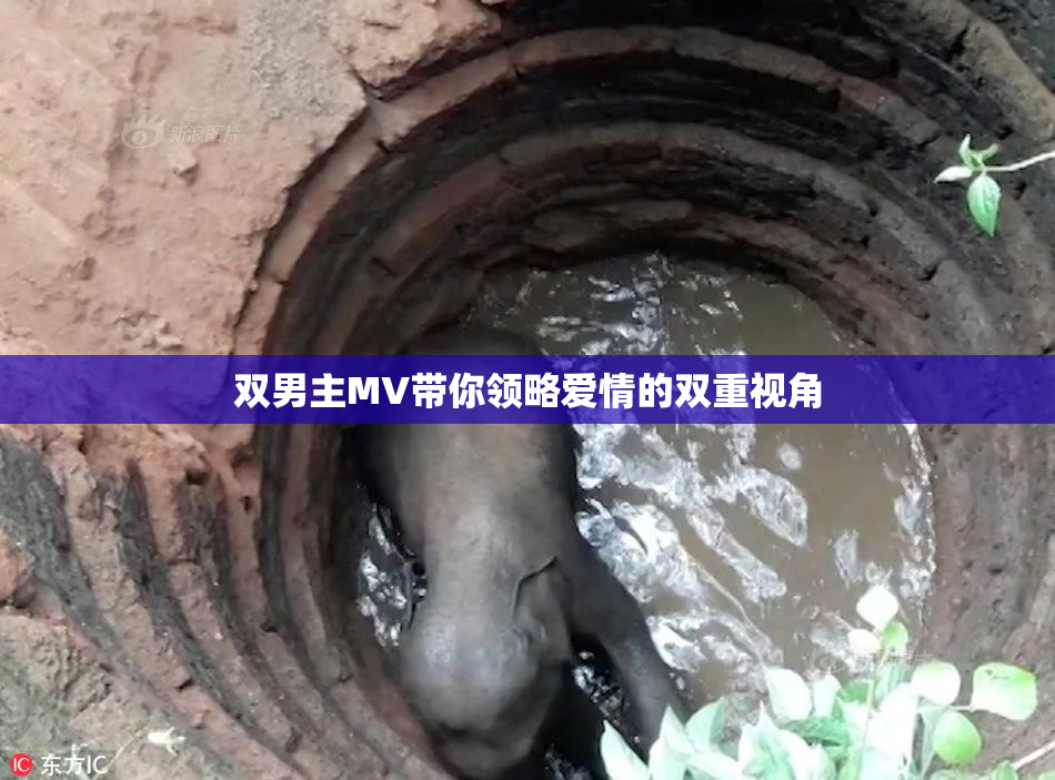 双男主MV带你领略爱情的双重视角