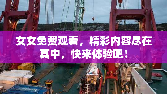 女女免费观看，精彩内容尽在其中，快来体验吧！