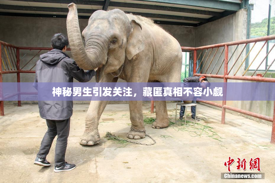 神秘男生引发关注，藏匿真相不容小觑