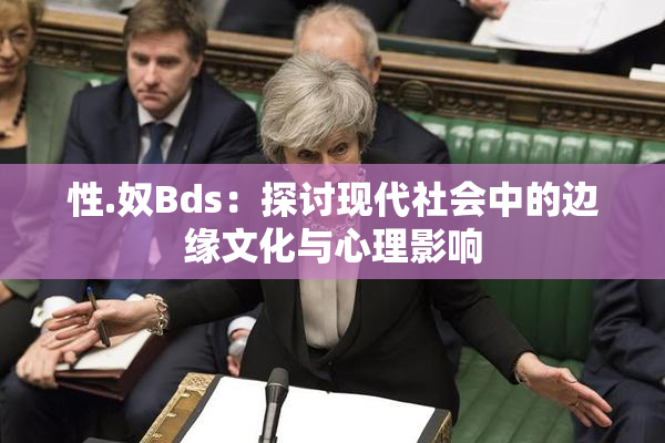 性.奴Bds：探讨现代社会中的边缘文化与心理影响