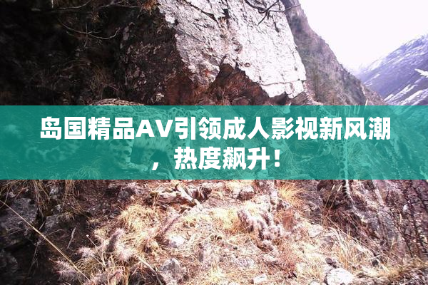 岛国精品AV引领成人影视新风潮，热度飙升！