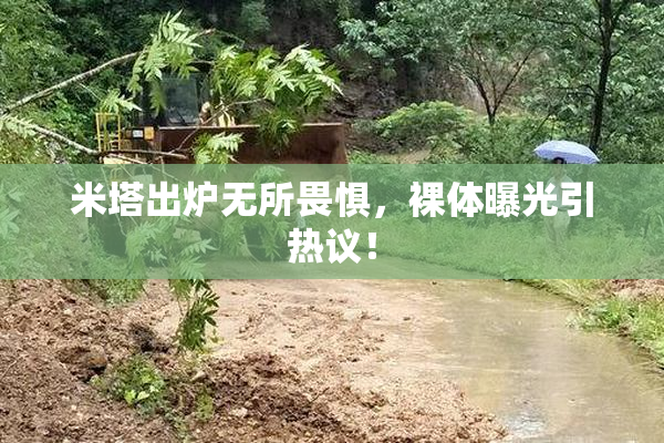 米塔出炉无所畏惧，裸体曝光引热议！