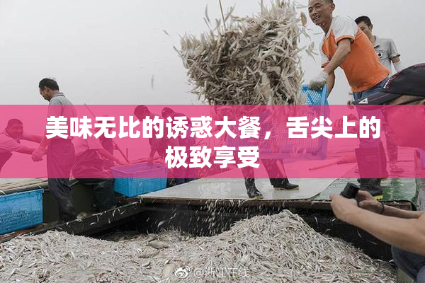 美味无比的诱惑大餐，舌尖上的极致享受