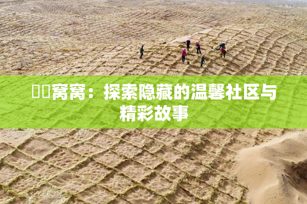 妺妺窝窝：探索隐藏的温馨社区与精彩故事
