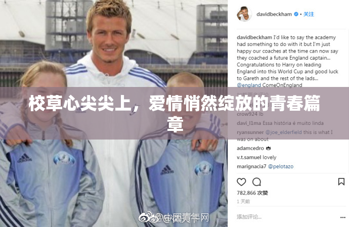 校草心尖尖上，爱情悄然绽放的青春篇章