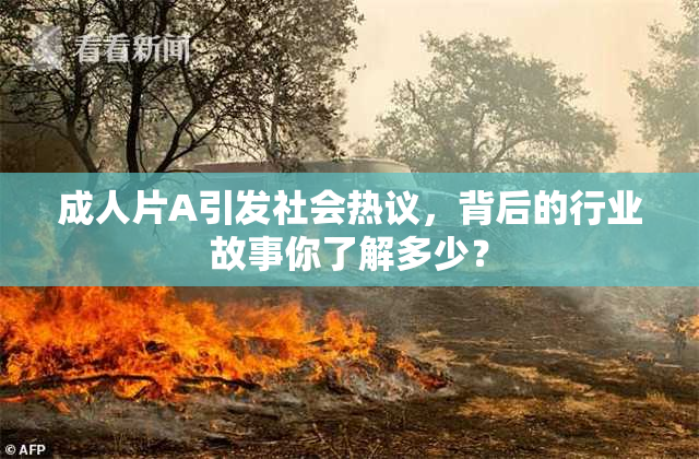 成人片A引发社会热议，背后的行业故事你了解多少？