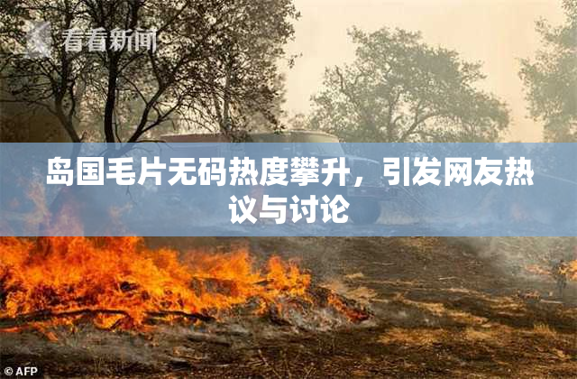 岛国毛片无码热度攀升，引发网友热议与讨论