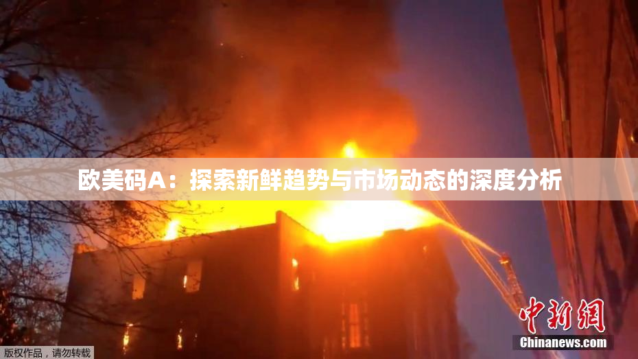 欧美码A：探索新鲜趋势与市场动态的深度分析