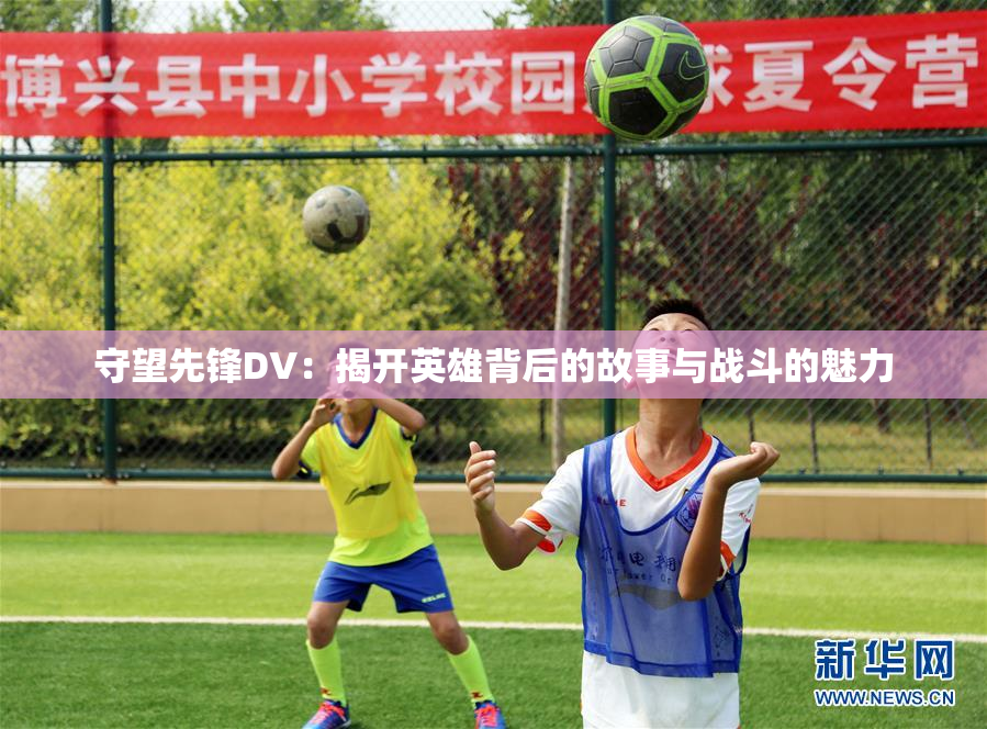 守望先锋DV：揭开英雄背后的故事与战斗的魅力