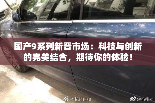 国产9系列新晋市场：科技与创新的完美结合，期待你的体验！