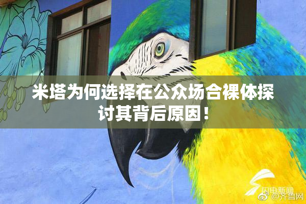 米塔为何选择在公众场合裸体探讨其背后原因！
