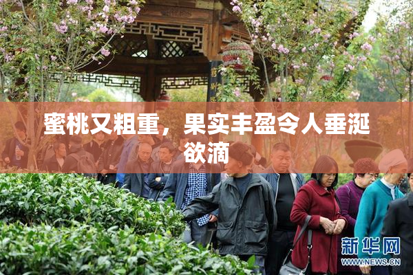 蜜桃又粗重，果实丰盈令人垂涎欲滴
