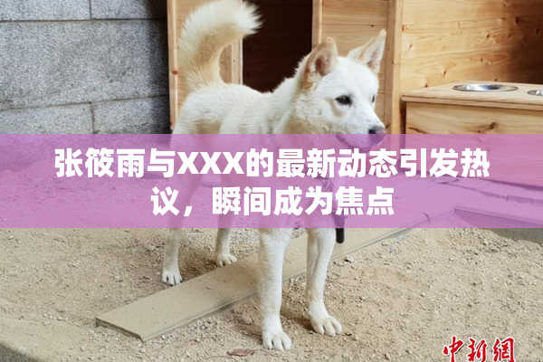 张筱雨与XXX的最新动态引发热议，瞬间成为焦点