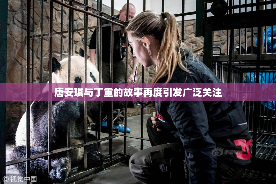 唐安琪与丁重的故事再度引发广泛关注