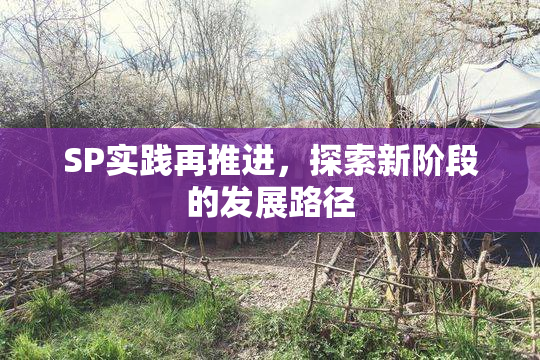 SP实践再推进，探索新阶段的发展路径