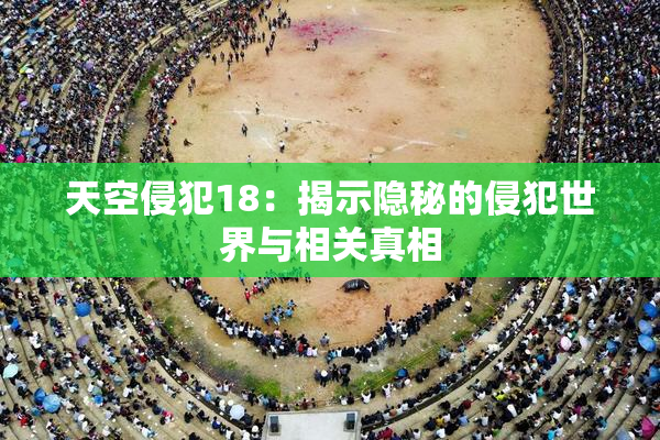 天空侵犯18：揭示隐秘的侵犯世界与相关真相