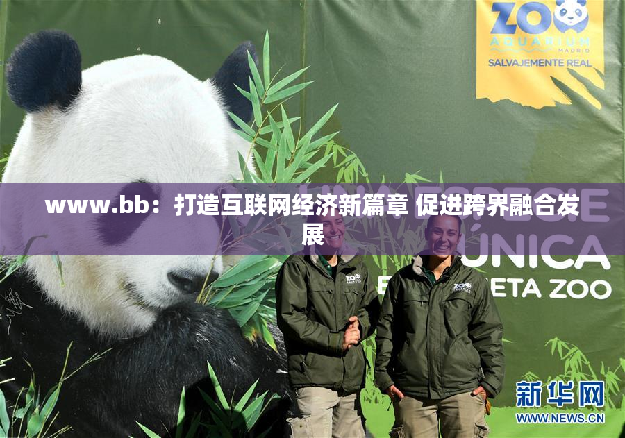 www.bb：打造互联网经济新篇章 促进跨界融合发展
