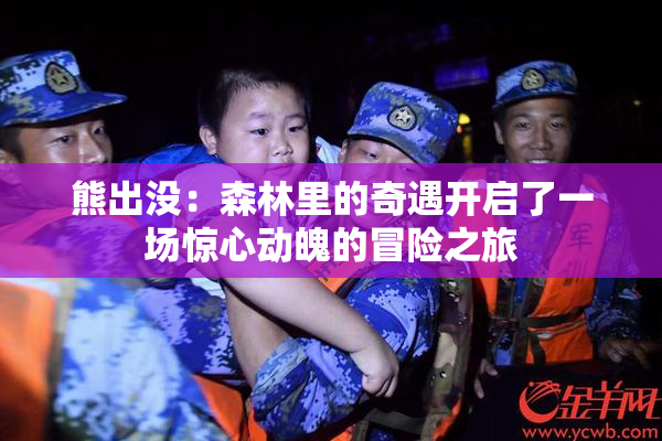 熊出没：森林里的奇遇开启了一场惊心动魄的冒险之旅