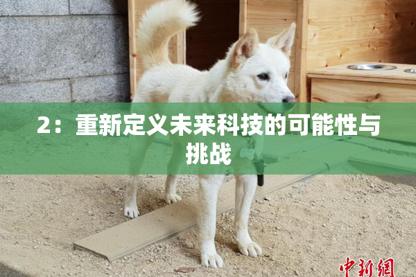 2：重新定义未来科技的可能性与挑战
