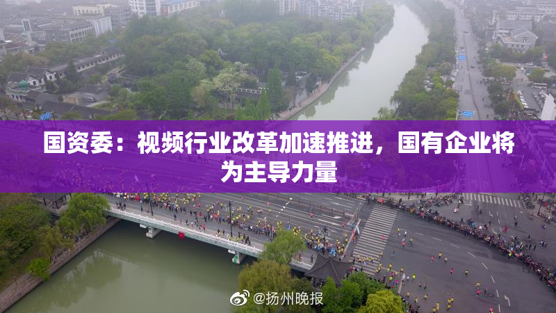 国资委：视频行业改革加速推进，国有企业将为主导力量