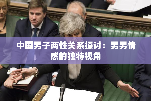中国男子两性关系探讨：男男情感的独特视角