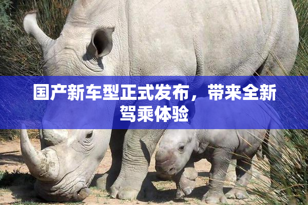 国产新车型正式发布，带来全新驾乘体验