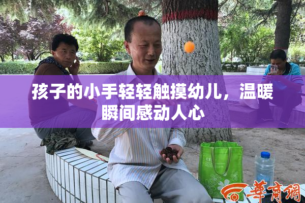 孩子的小手轻轻触摸幼儿，温暖瞬间感动人心