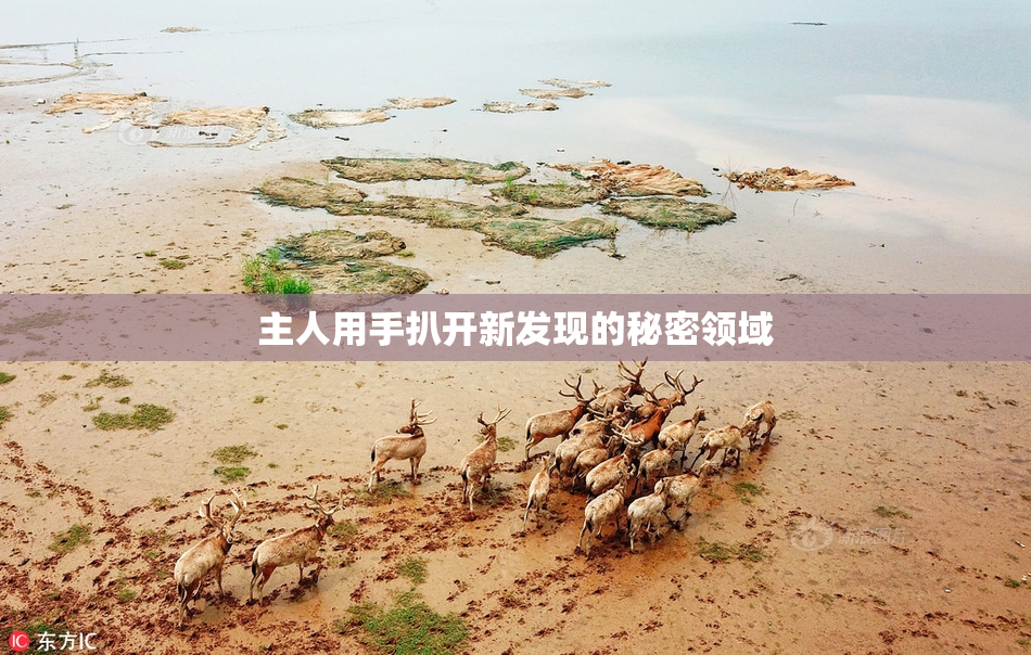 主人用手扒开新发现的秘密领域