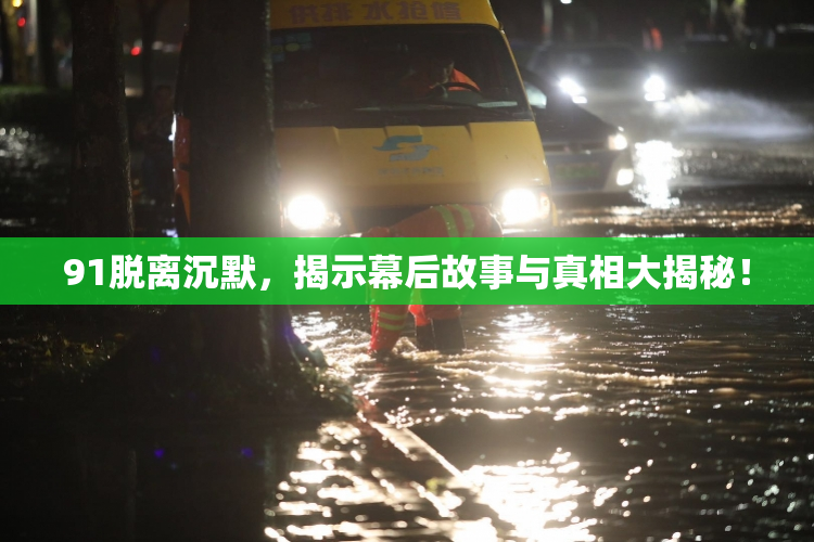 91脱离沉默，揭示幕后故事与真相大揭秘！