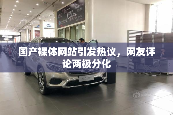 国产裸体网站引发热议，网友评论两极分化