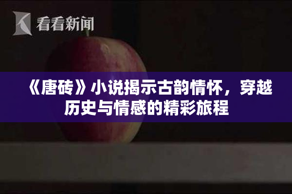 《唐砖》小说揭示古韵情怀，穿越历史与情感的精彩旅程
