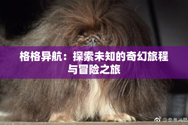 格格异航：探索未知的奇幻旅程与冒险之旅