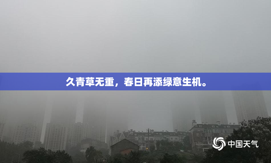 久青草无重，春日再添绿意生机。