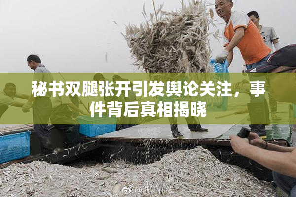 秘书双腿张开引发舆论关注，事件背后真相揭晓