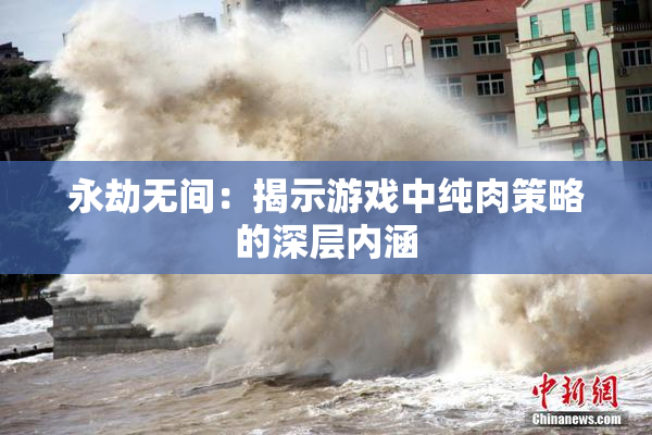 永劫无间：揭示游戏中纯肉策略的深层内涵