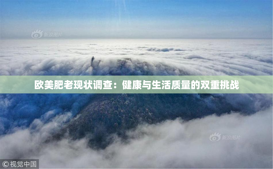 欧美肥老现状调查：健康与生活质量的双重挑战