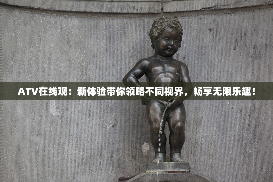 ATV在线观：新体验带你领略不同视界，畅享无限乐趣！