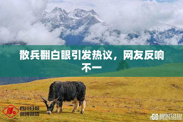 散兵翻白眼引发热议，网友反响不一
