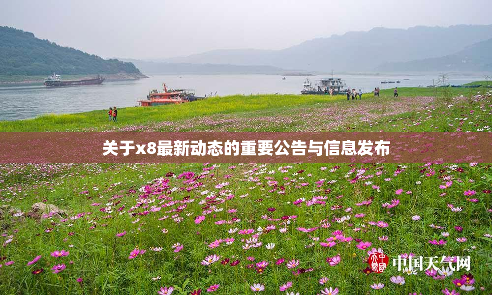 关于x8最新动态的重要公告与信息发布