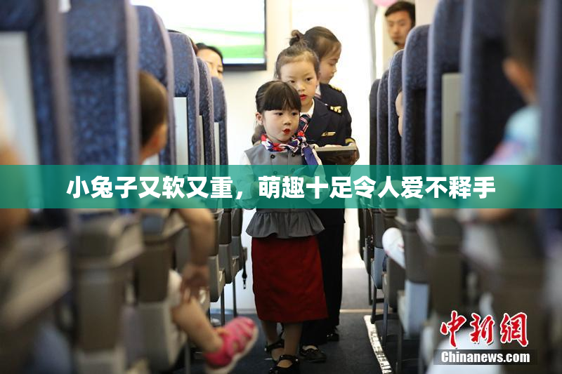 小兔子又软又重，萌趣十足令人爱不释手